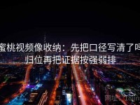 蜜桃视频像收纳：先把口径写清了吗归位再把证据按强弱排