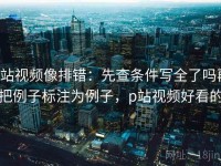 p站视频像排错：先查条件写全了吗再把例子标注为例子，p站视频好看的
