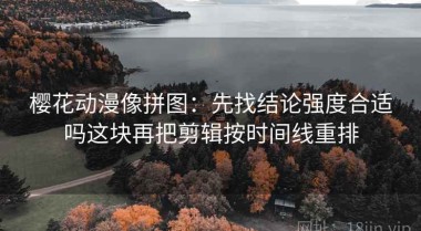 樱花动漫像拼图：先找结论强度合适吗这块再把剪辑按时间线重排